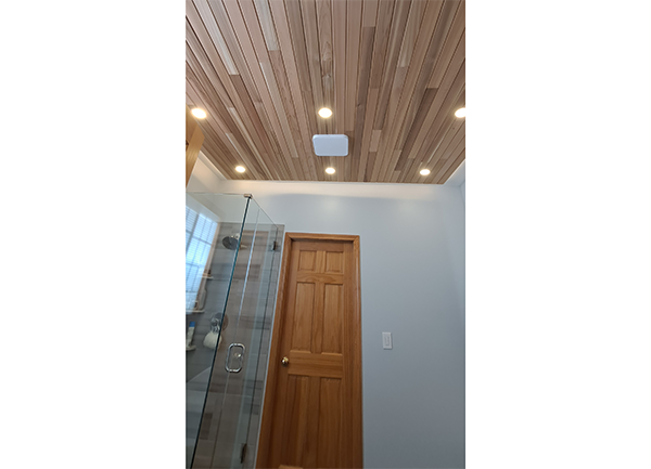 wood ceiling photo